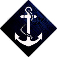 Strong Anchor Tech logo - Similar company to Learnics