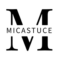 Micastuce logo - Similar company to Linconyl