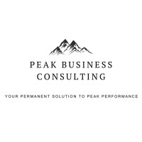 PEAK Business Consulting logo - Similar company to 30Process Consulting