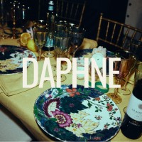 DAPHNE Creative logo - Similar company to Triple I Web Solutions