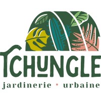 Tchungle logo - Similar company to Anaki
