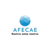 AFECAE logo - Similar company to Breaking Ice
