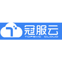 Top IT Service Limited logo - Similar company to Clock It Service System Pvt Ltd