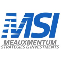 Meauxmentum Strategies & Investments logo - Similar company to Cloudserve Solutions