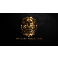 Nostrand Productions Llc