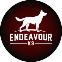 Endeavour K9