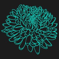 Underpass logo - Similar company to Flappi
