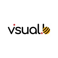 visualb logo - Similar company to Graphic Sheet