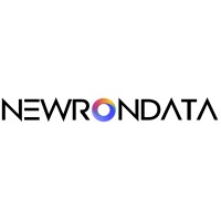 NewronData Global Services Pvt Ltd logo - Similar company to Connectm Technology Solutions