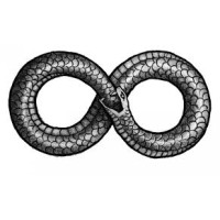 Roa Ventures logo - Similar company to Blitz Corp