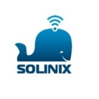 Solinix logo - Similar company to Gut & Beyond