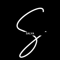 Salva Yazılım logo - Similar company to Bilsemteknik