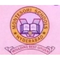 Montessori High School logo - Similar company to Kurnool