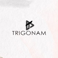 Trigonam Designs logo - Similar company to Buildndesign