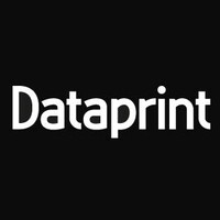 Dataprint logo - Similar company to Data Print Br
