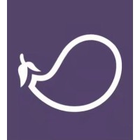 Eggplant Technologies Ltd. logo - Similar company to Eggplant