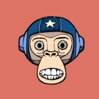 Macaco Hábil - Gabinete De Curiosidades
