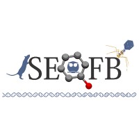 Sociedad Estudiantil de Químicos Farmacéuticos Biólogos logo - Similar company to Farmacia Clinica