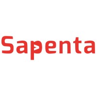 Sapenta Yazılım ve Danışmanlık logo - Similar company to Easy It Consulting
