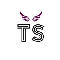 TS TAX CONSULTANCY logo - Similar company to Audionxt.Com
