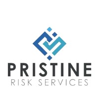 Pristine Risk Group logo - Similar company to Botm Group