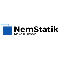 NemStatik logo - Similar company to Nr-Systems Inc.