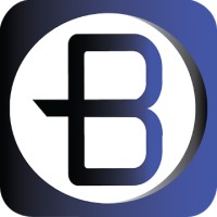 Budivis logo - Similar company to Elearning.Romania