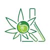 Pazienti Cannabis logo - Similar company to Bestmotori.It