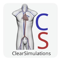 Clear Simulations logo - Similar company to Flow Surf Academy