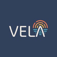VELA logo - Similar company to Educational Freedom Institute