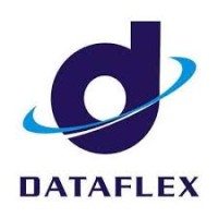 Dataflex Nigeria Limited logo - Similar company to Remm Technologies And Solutions Ltd