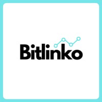 BitLinko logo - Similar company to Dtechport