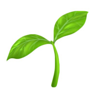 Jenny Liu Zhang logo - Similar company to Plot Twisters