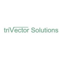 triVector Solutions logo - Similar company to Edsi