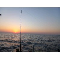 Wasted Energy Solutions logo - Similar company to Wasted