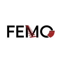 Femo Poland logo - Similar company to Lumbertek