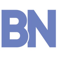 Brainow Consulting Pvt Ltd logo - Similar company to Hyperdrive Ai