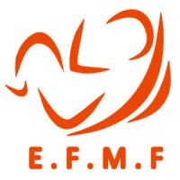 Egyptian Fetal Medicine Foundation logo - Similar company to Medicine Game Foundation