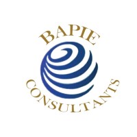 Bapie Consultants logo - Similar company to Turelabs Developers Limited