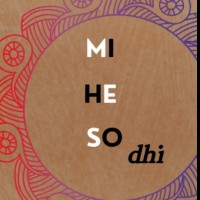 Mind_Heart_Soul Dhi logo - Similar company to Geo Mobility