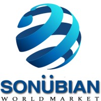 SONUBIAN logo - Similar company to Pondhr Ai