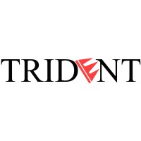 Trident Marketing & Consulting Inc logo - Similar company to Swiftbyte Consulting Ltd.
