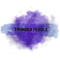 Thunder Pebble logo - Similar company to View