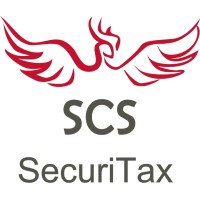 Securitax Consulting Services logo - Similar company to Anfe Consulting
