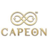 Capeon – A Global Family Office logo - Similar company to Capeon