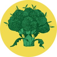 ONG BROCOLI DE CANNABIS MEDICINAL logo - Similar company to Democracy Earth Foundation