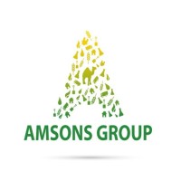 Amsonsgroup logo - Similar company to Mbeya Cement