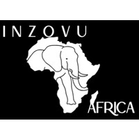 Inzovu Africa logo - Similar company to Invocom | Tech Solutions