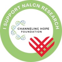Channeling Hope Foundation logo - Similar company to Curears