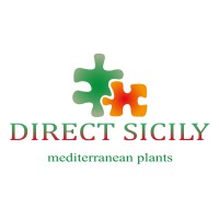 Direct Sicily logo - Similar company to Rewi Fleurs France